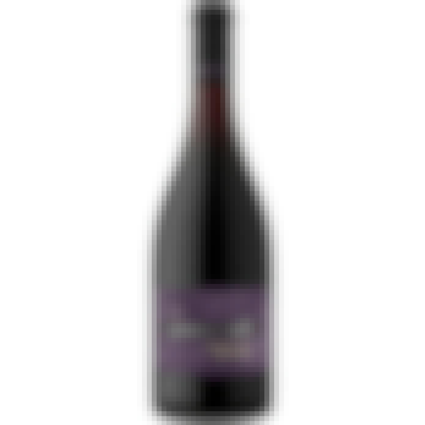 Penner-Ash Willamette Valley Pinot Noir 2021 750ml