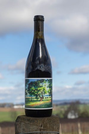 Johan Vineyards Pinot Noir 2022 750ml Stirling Fine Wines