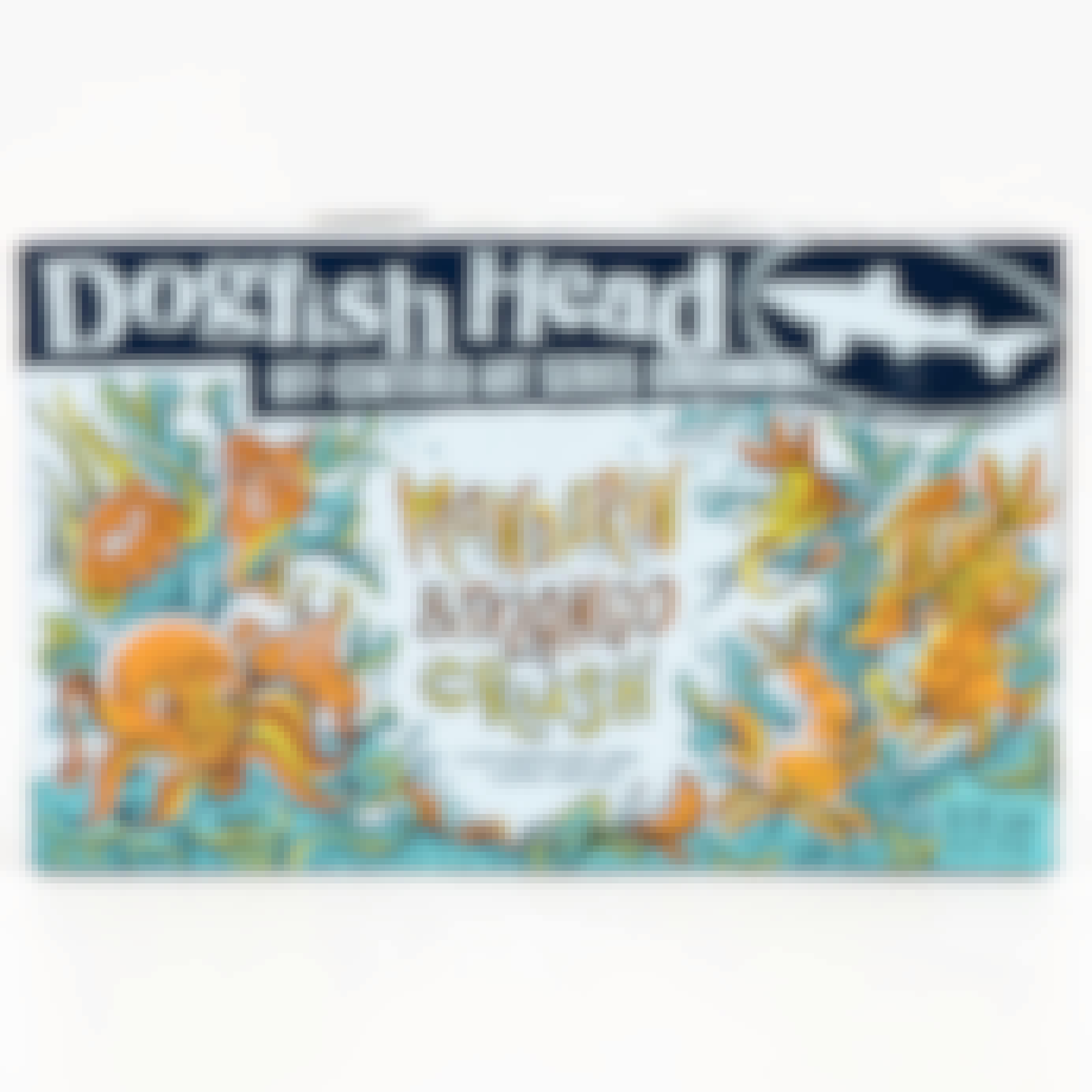 Dogfish Head Mandarin & Mango Crush 6 pack 12 oz. Can