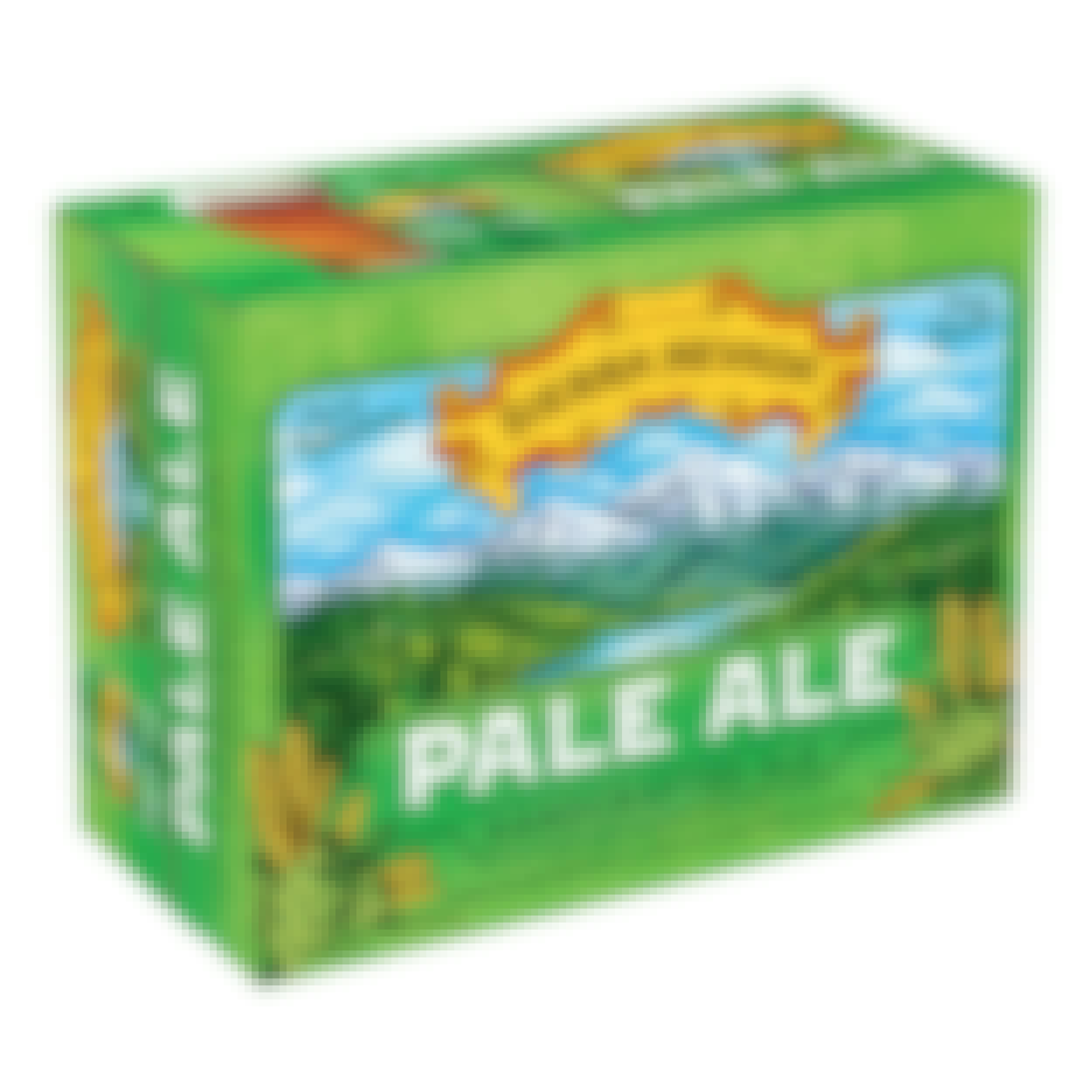 Sierra Nevada Pale Ale 12 pack Can