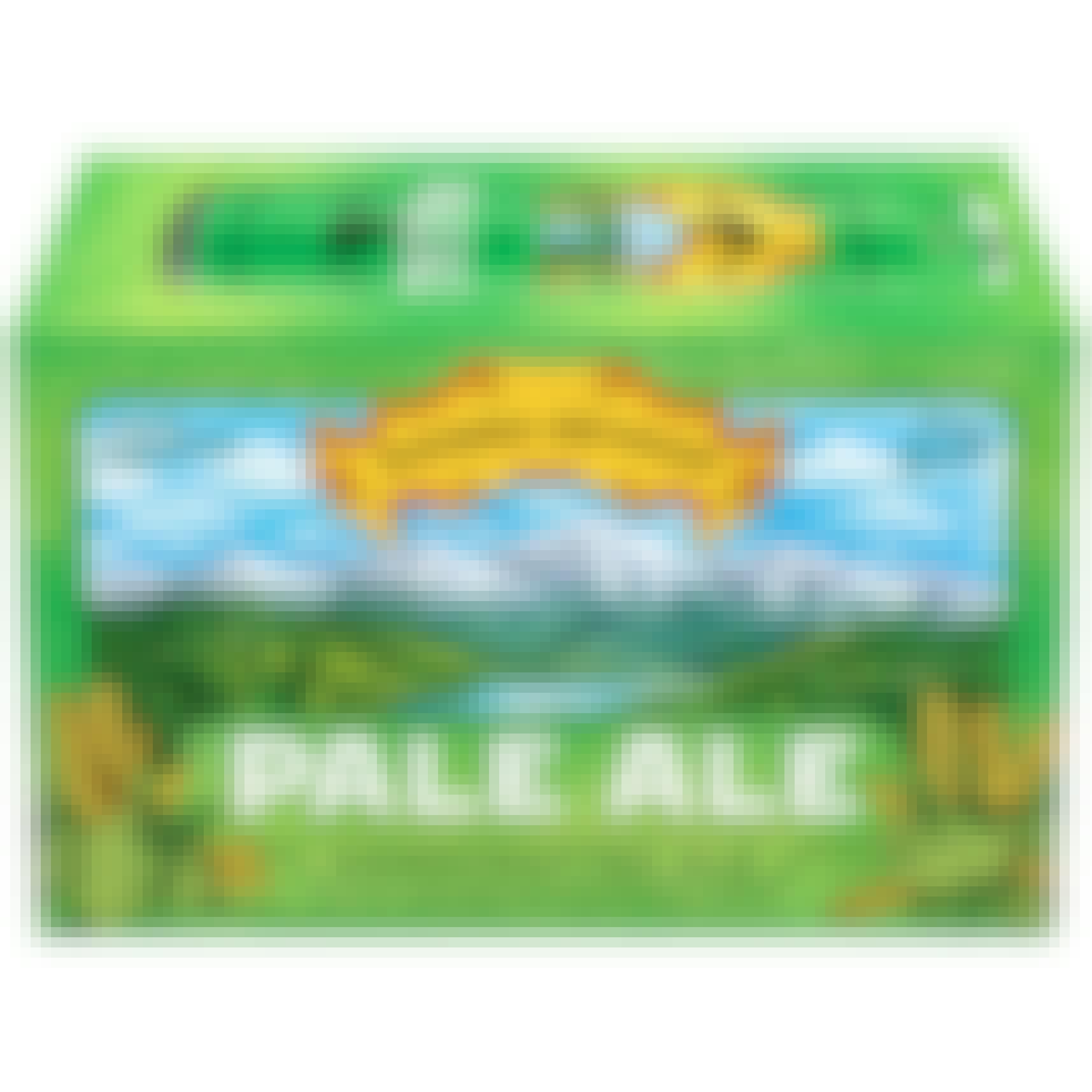 Sierra Nevada Pale Ale 6 pack Can