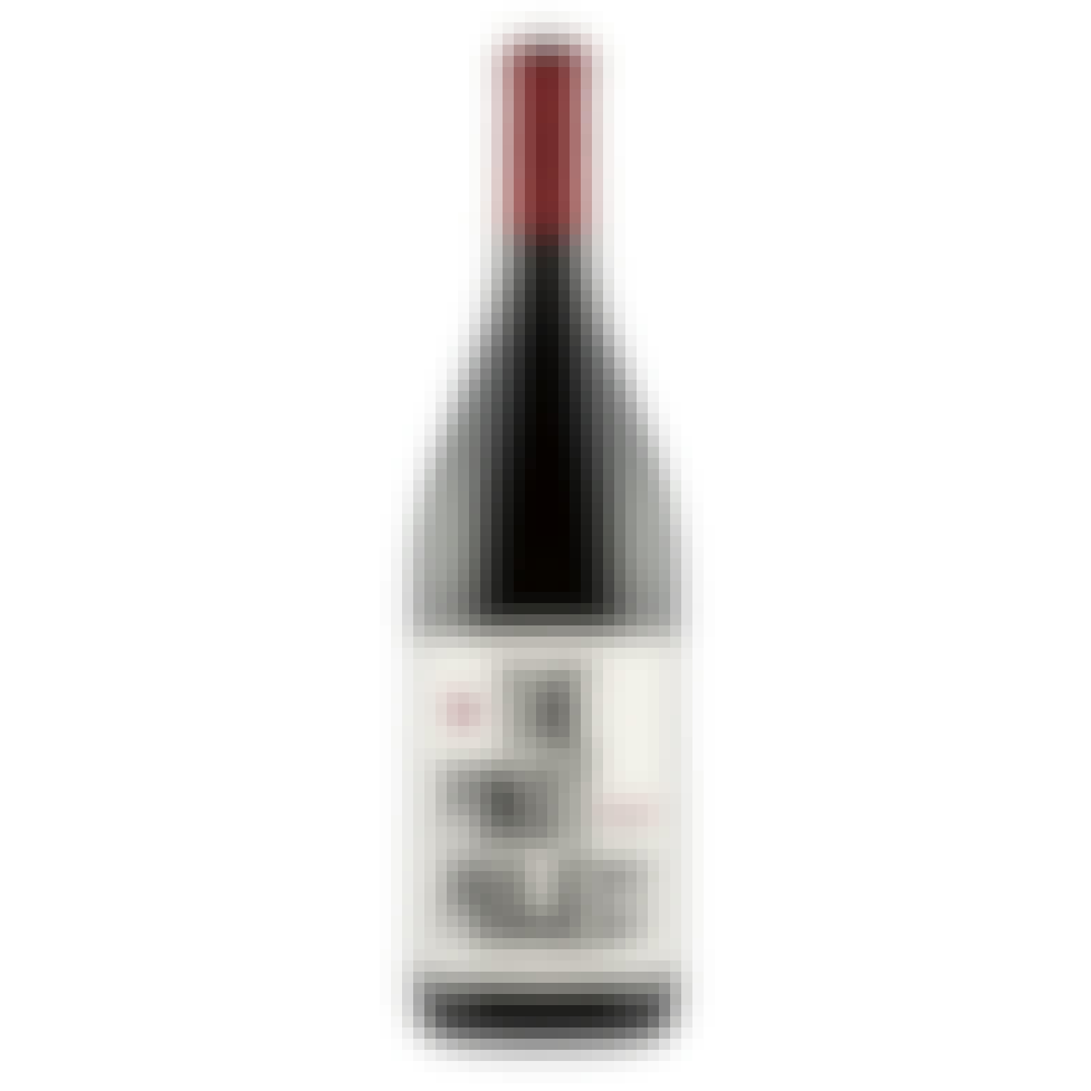 The Pinot Project Pinot Noir 2021 750ml