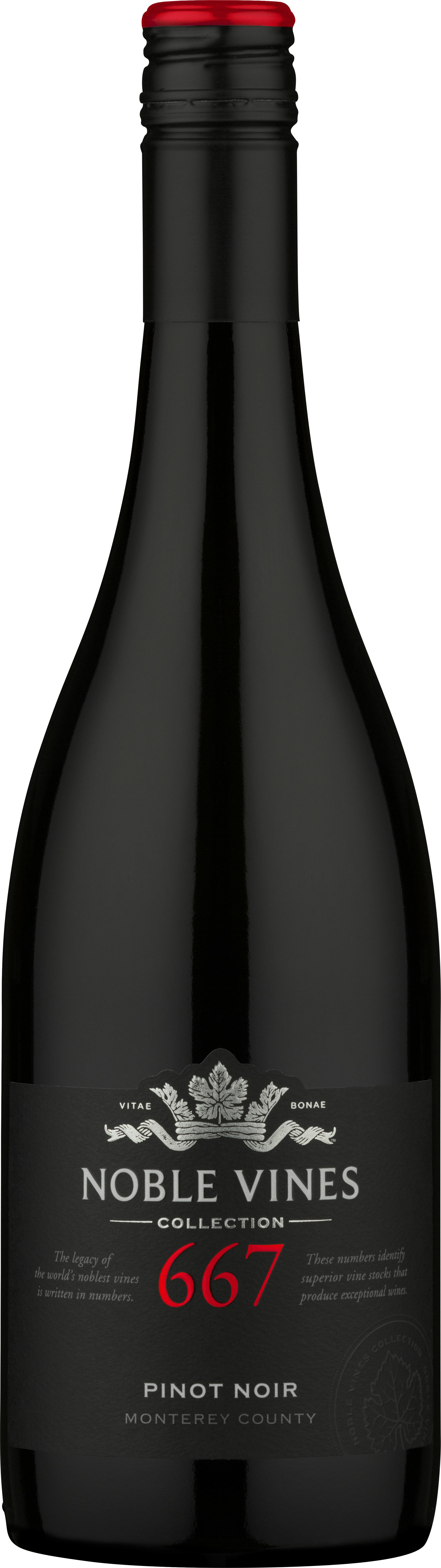 Noble 2025 vines wine