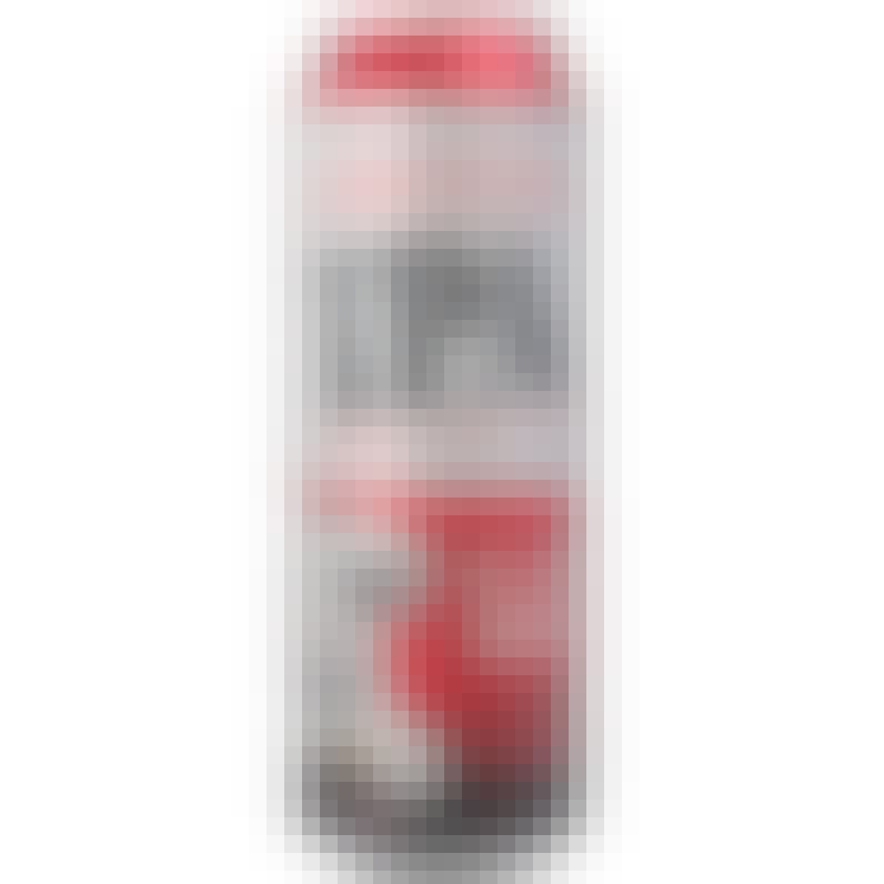 Lagunitas IPA Can