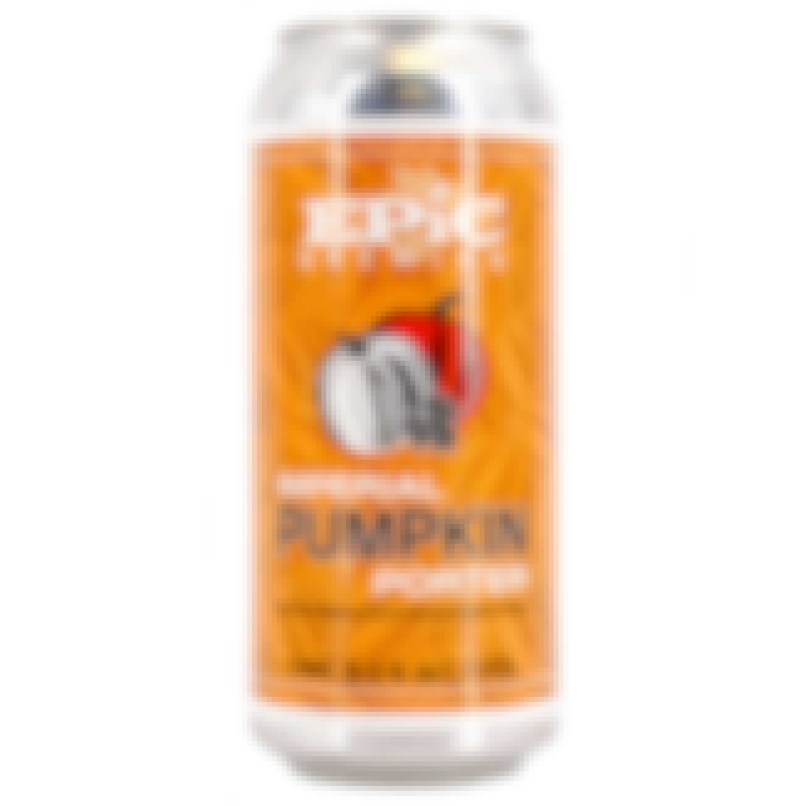 Epic Brewing Imperial Pumpkin Porter 4 pack 16 oz. Can