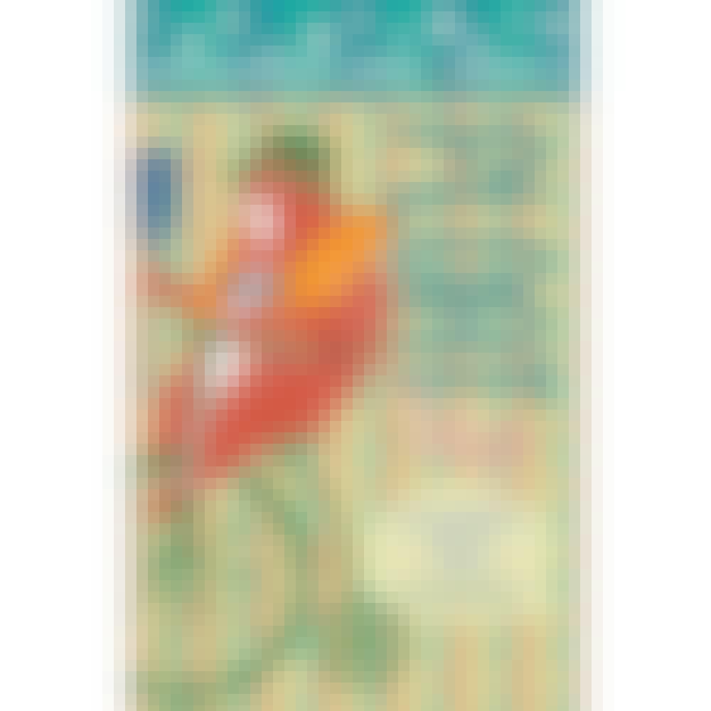 Hampline Brewing Float Trip 4 pack 16 oz. Can
