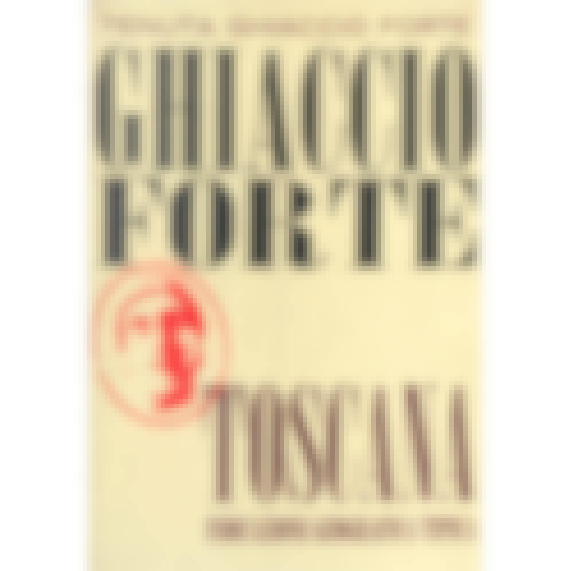 Ghiaccio Forte Toscana 2016 750ml