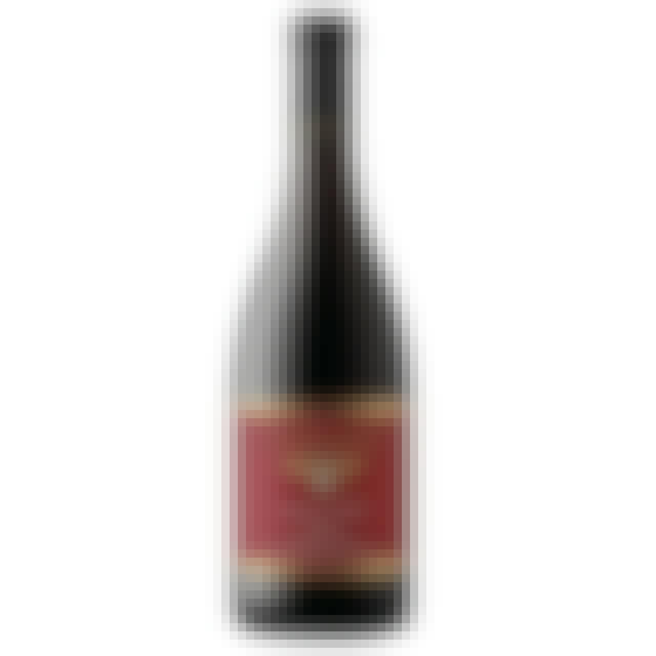 Alexana 'Terroir Series' Pinot Noir 2021 750ml