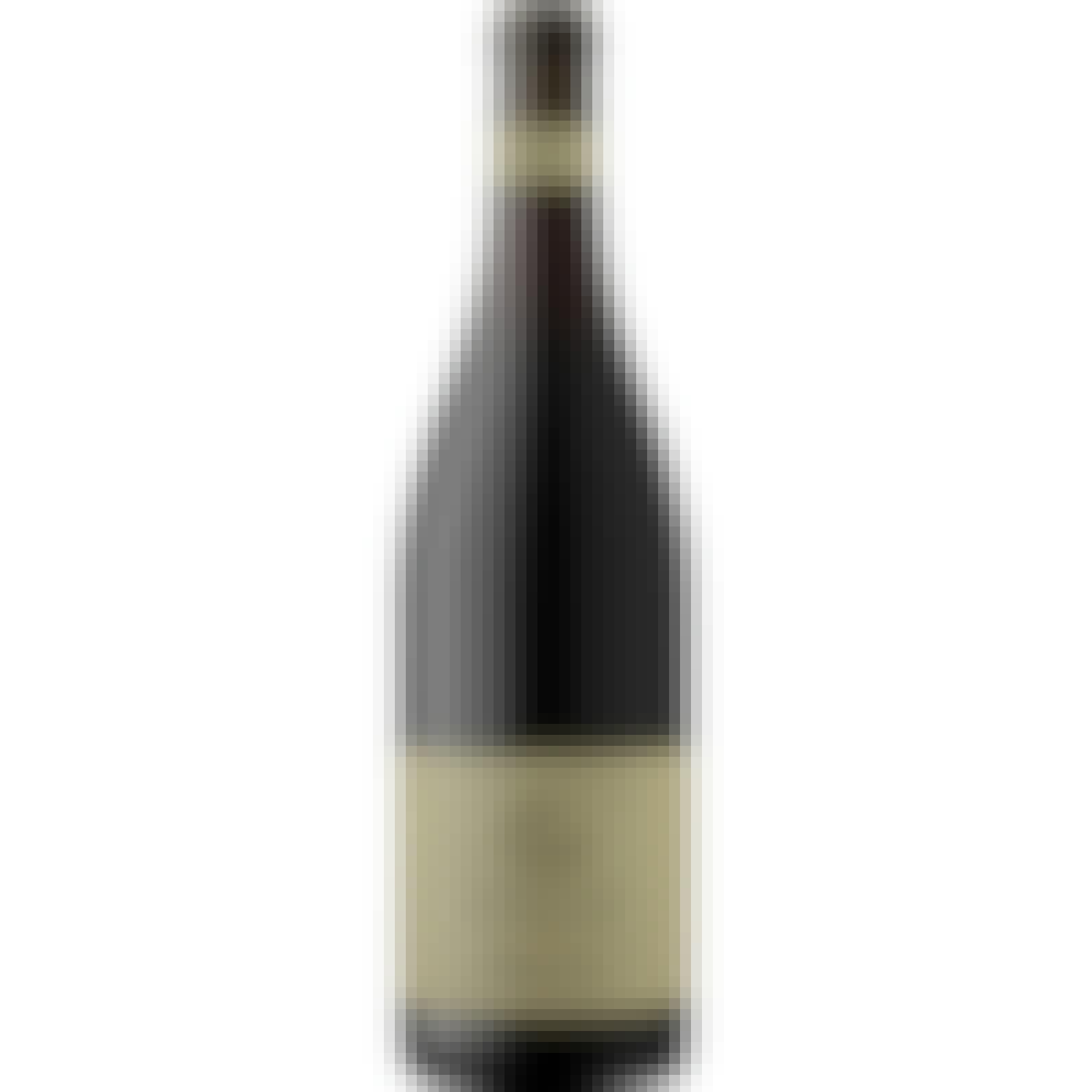 Soter Mineral Springs Ranch Pinot Noir 2021 750ml