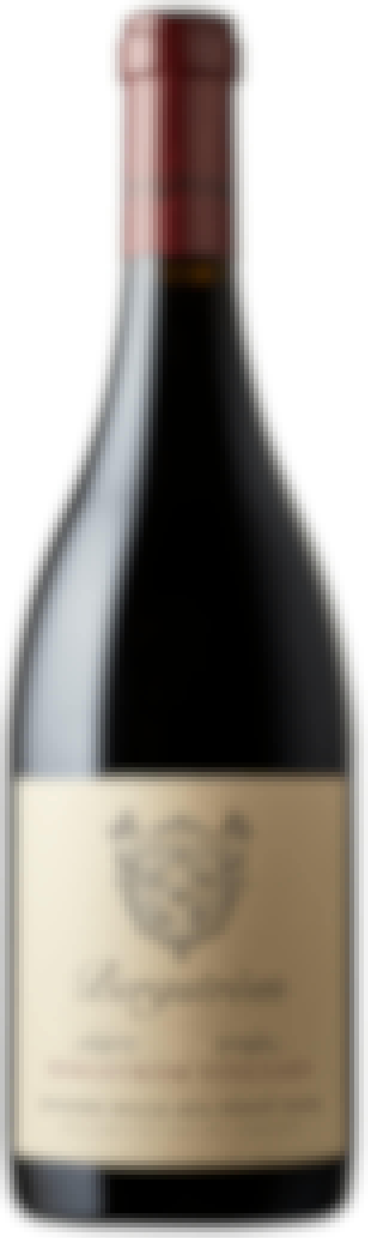 Bergstrom Vineyard Pinot Noir 2020 750ml