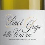 delle - The Grigio 750ml Grape Tray Venezie Pinot Zenato 2022