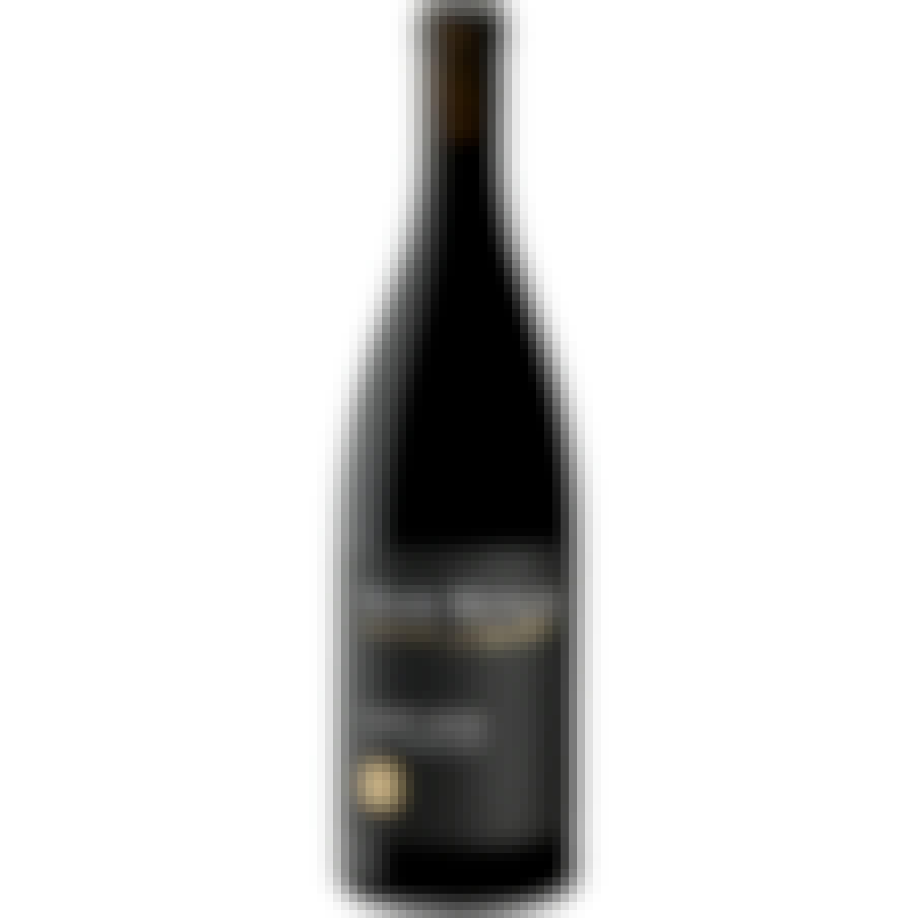 Sean Minor Sonoma Coast Pinot Noir 2022 750ml