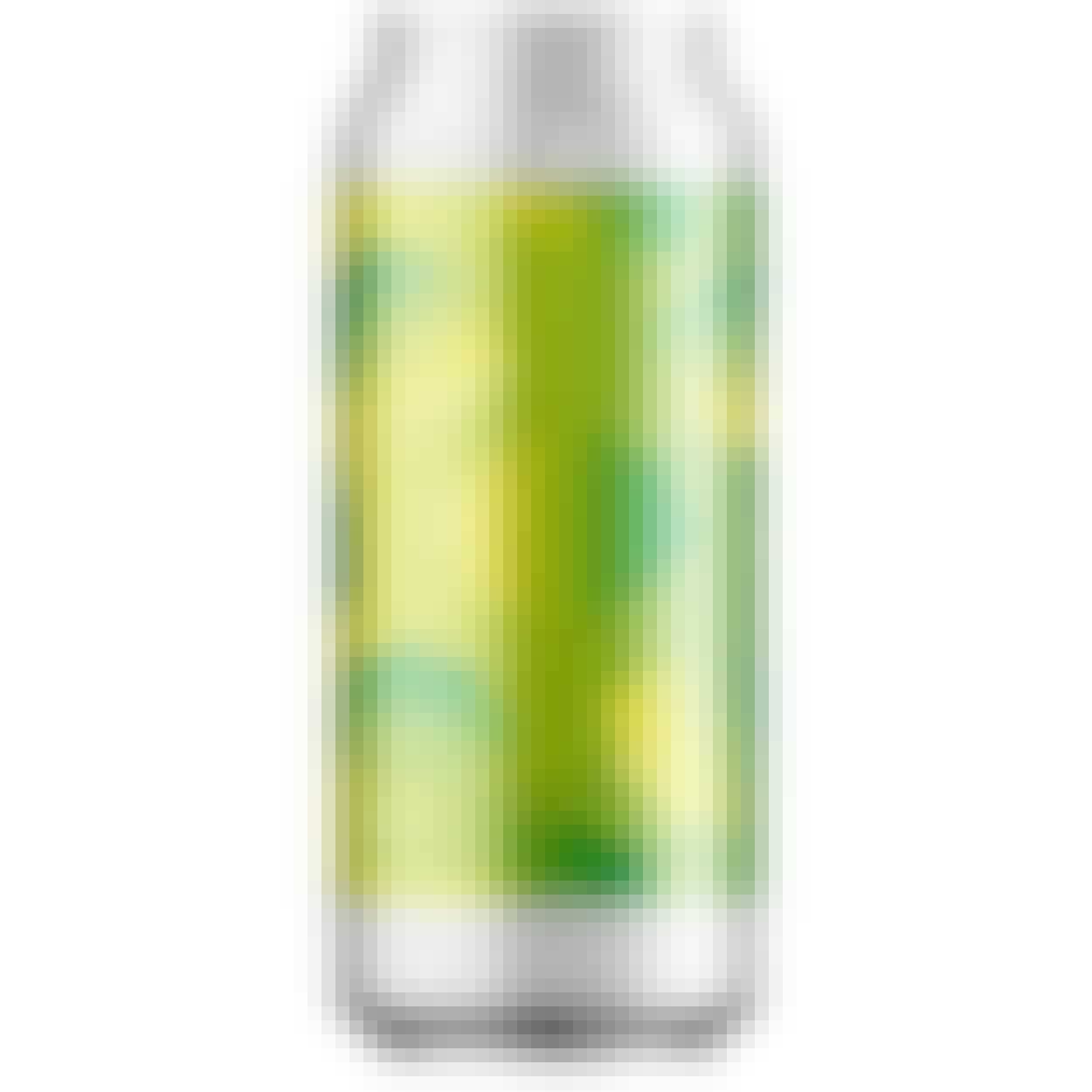 Other Half Brewing DDH Double Nelson Daydream 16 oz. Can