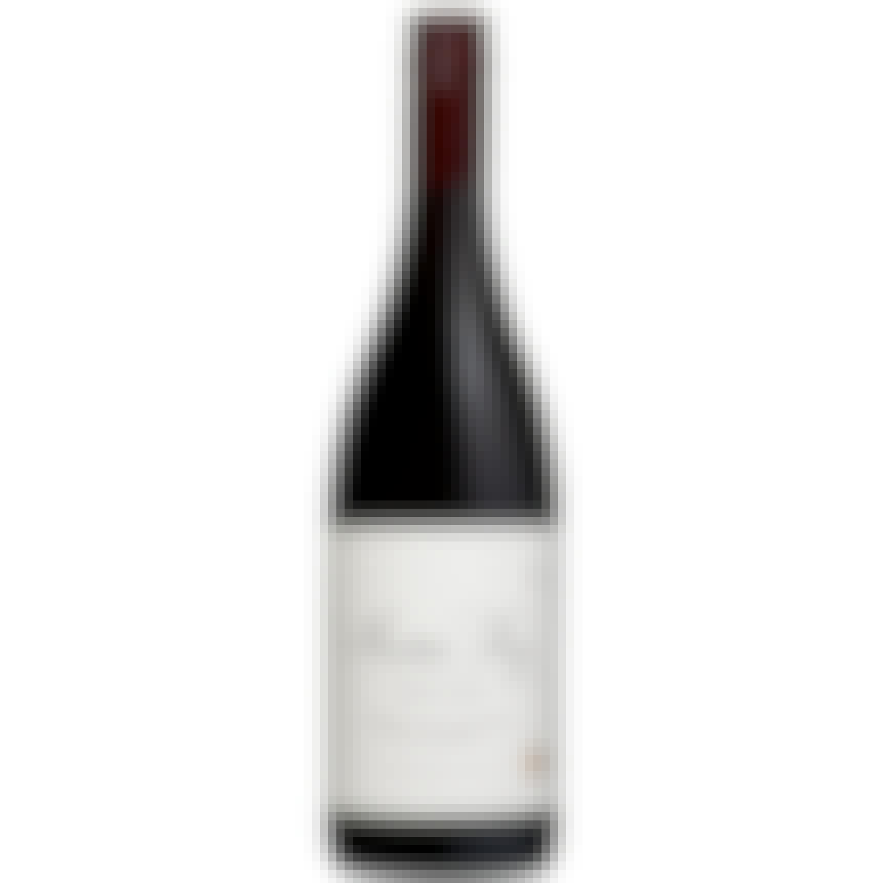 Martin Ray Sonoma Coast Pinot Noir 2022 750ml