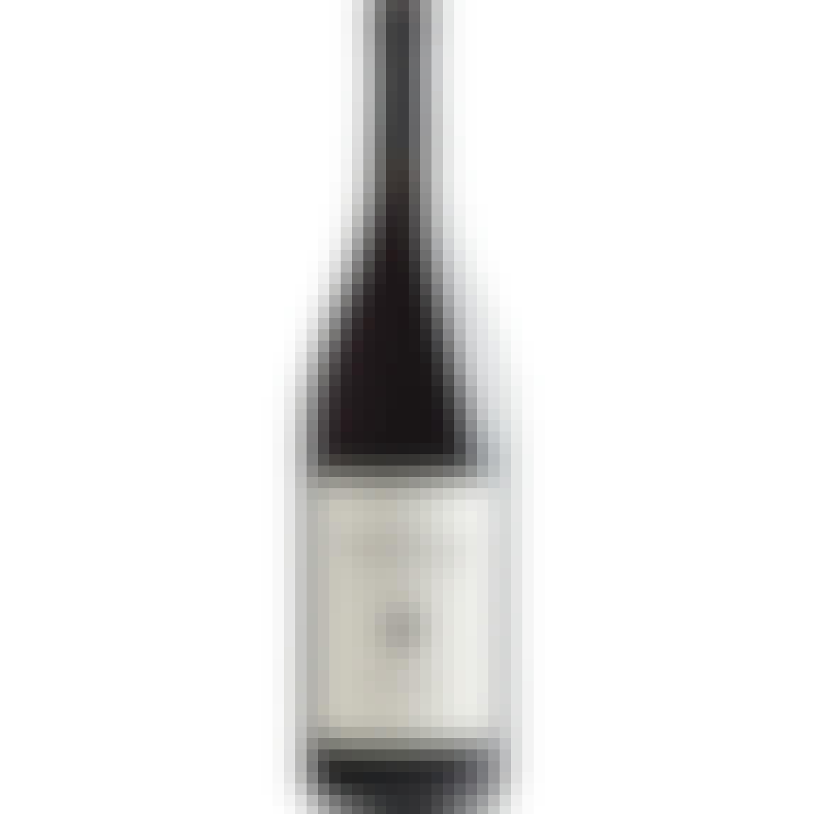 Michael Pozzan Russian River Valley Pinot Noir 2020 750ml