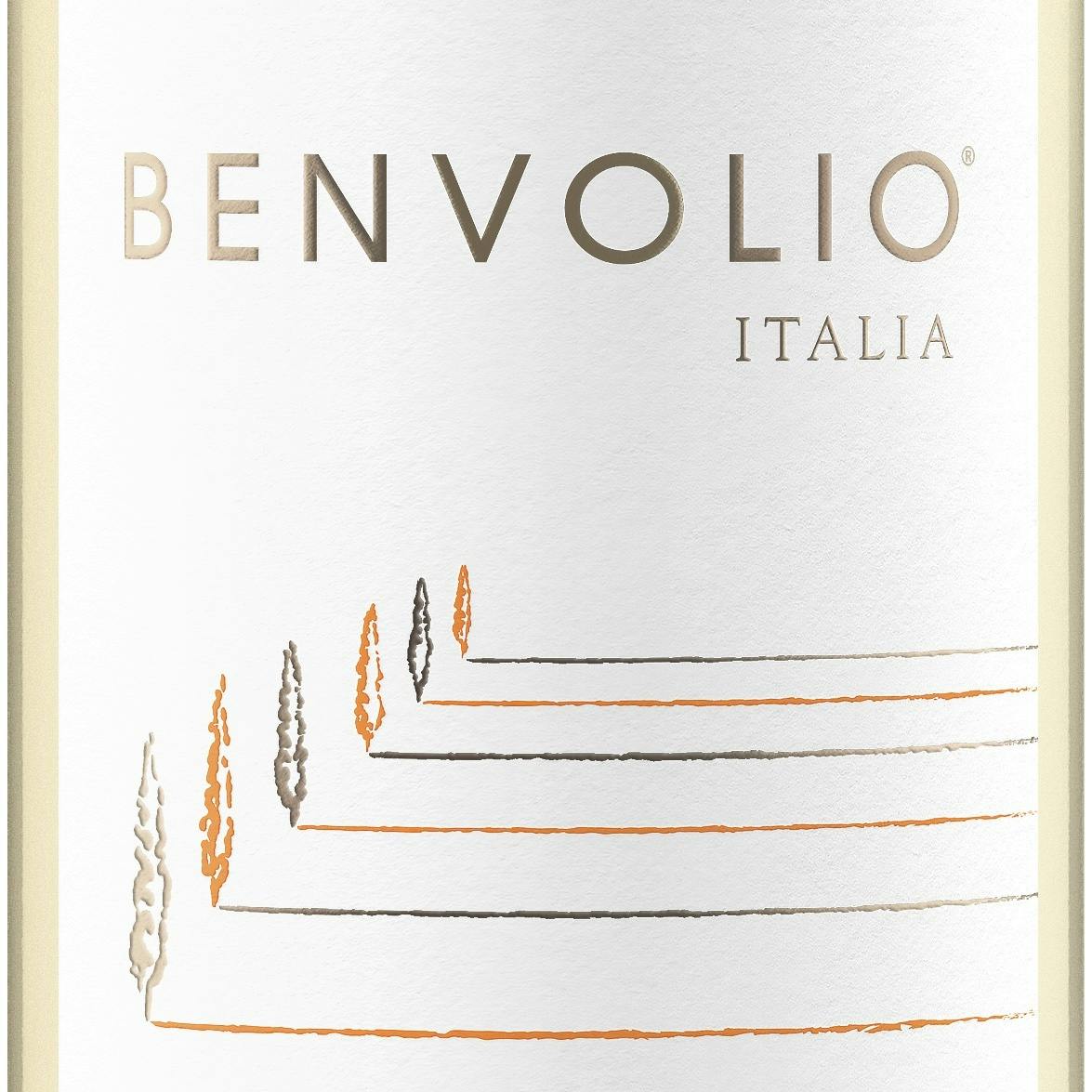 Benvolio Pinot Grigio 2022 750ml - Bedford Wine Merchants