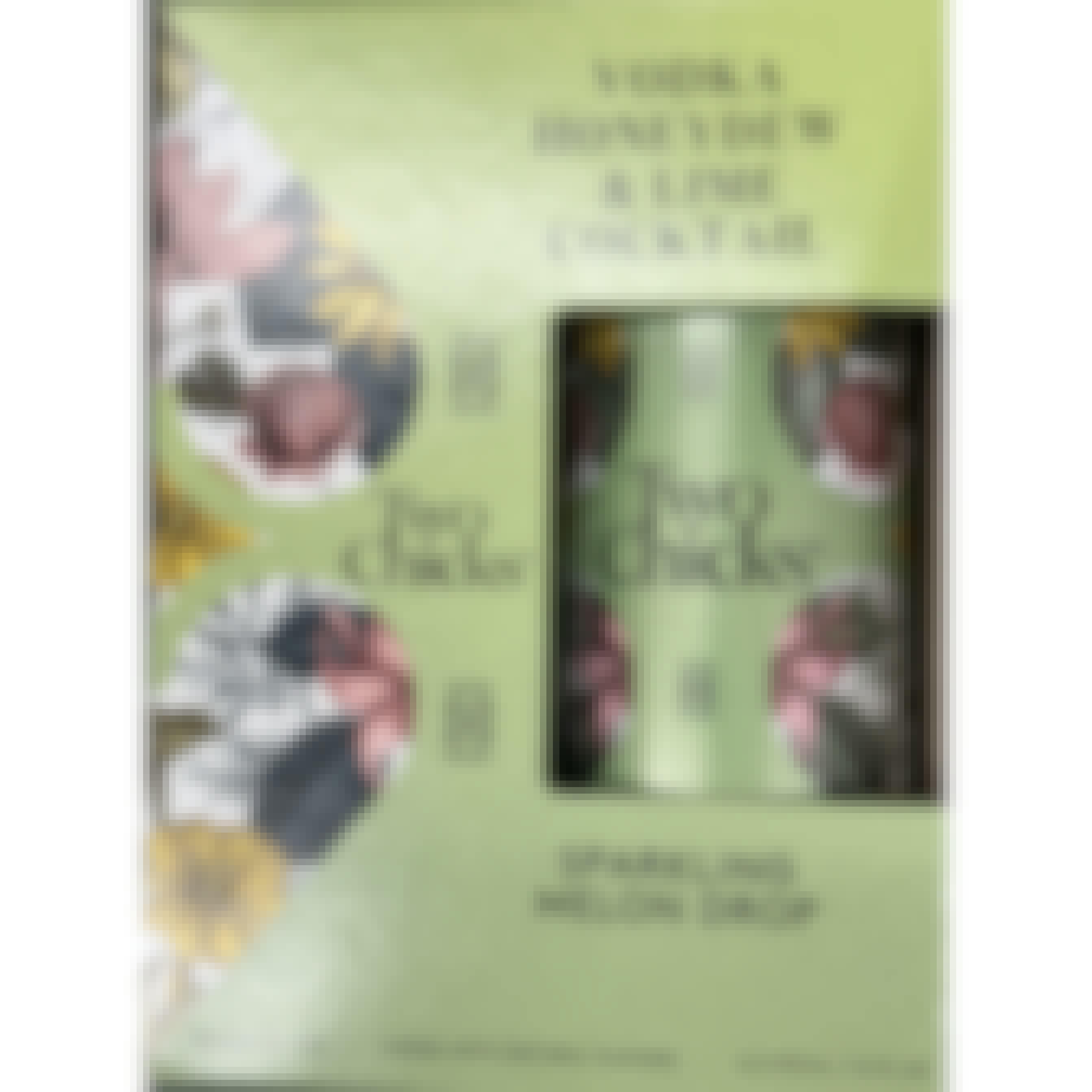 Two Chicks Cocktails Sparkling Melon Drop 4 pack 12 oz. Can