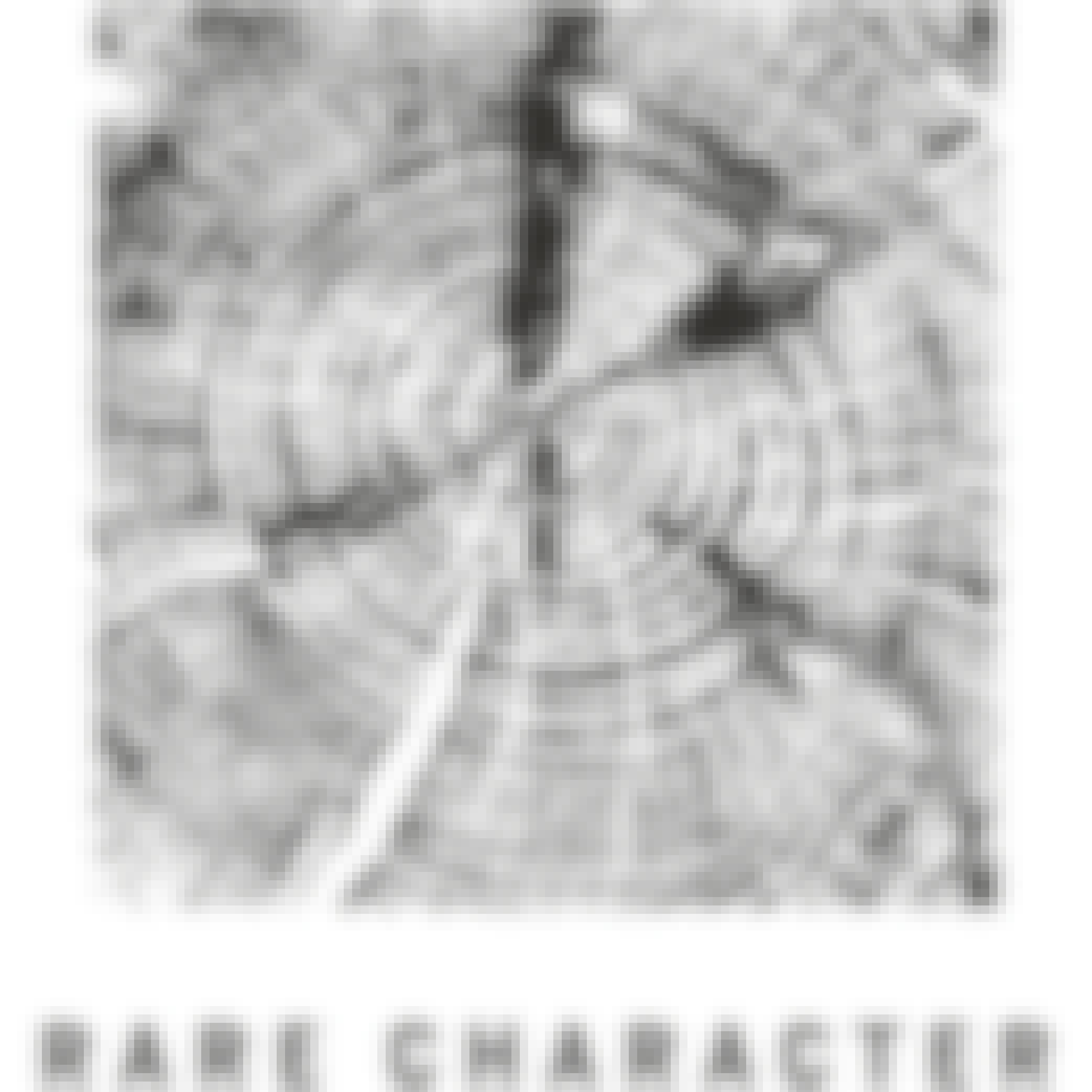 Rare Character BOURBON CASK STRENGTH NIO **BUSTER'S BARREL** 750ml 750ml