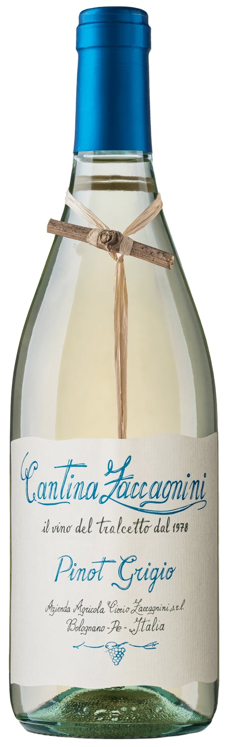 Cantina Zaccagnini Pinot Grigio 2023 750ml - Vine Republic