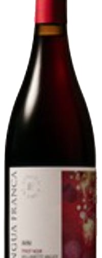 Lingua Franca Avni Pinot Noir 2022 750ml Station Plaza Wine