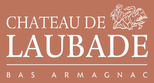 Château de Laubade Bas Armagnac 1993 750ml - Station Plaza Wine