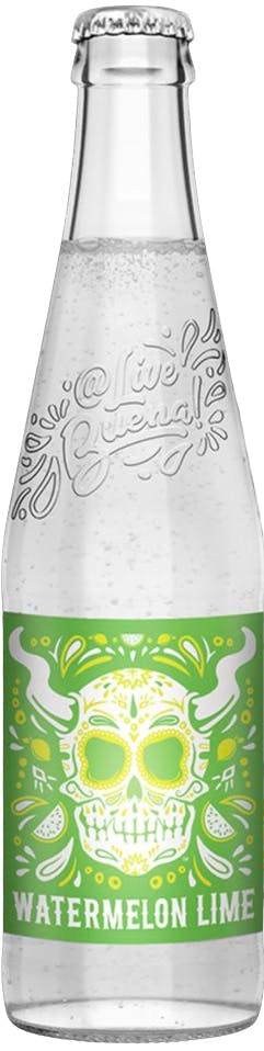 Stone Brewing Co. Buenavida Watermelon Lime Hard Seltzer 4 pack 12 oz. Can 