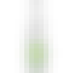 Stone Brewing Co. Buenavida Watermelon Lime Hard Seltzer 4 pack 12 oz. Can Stone Brewing Co. Buenavida Watermelon Lime Hard Seltzer 4 pack 12 oz. Can