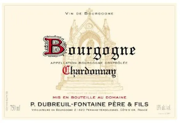 Domaine Dubreuil-Fontaine Père et Fils Bourgogne Blanc 2023