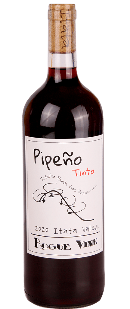 Rogue Vine Pipeno Tinto 2024 1L Amanti Vino