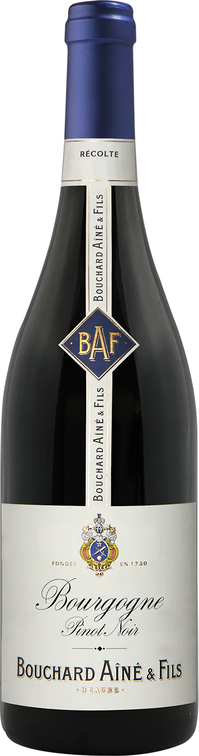 Bouchard Aine & Fils Bourgogne Pinot Noir 2023 750ml - Station