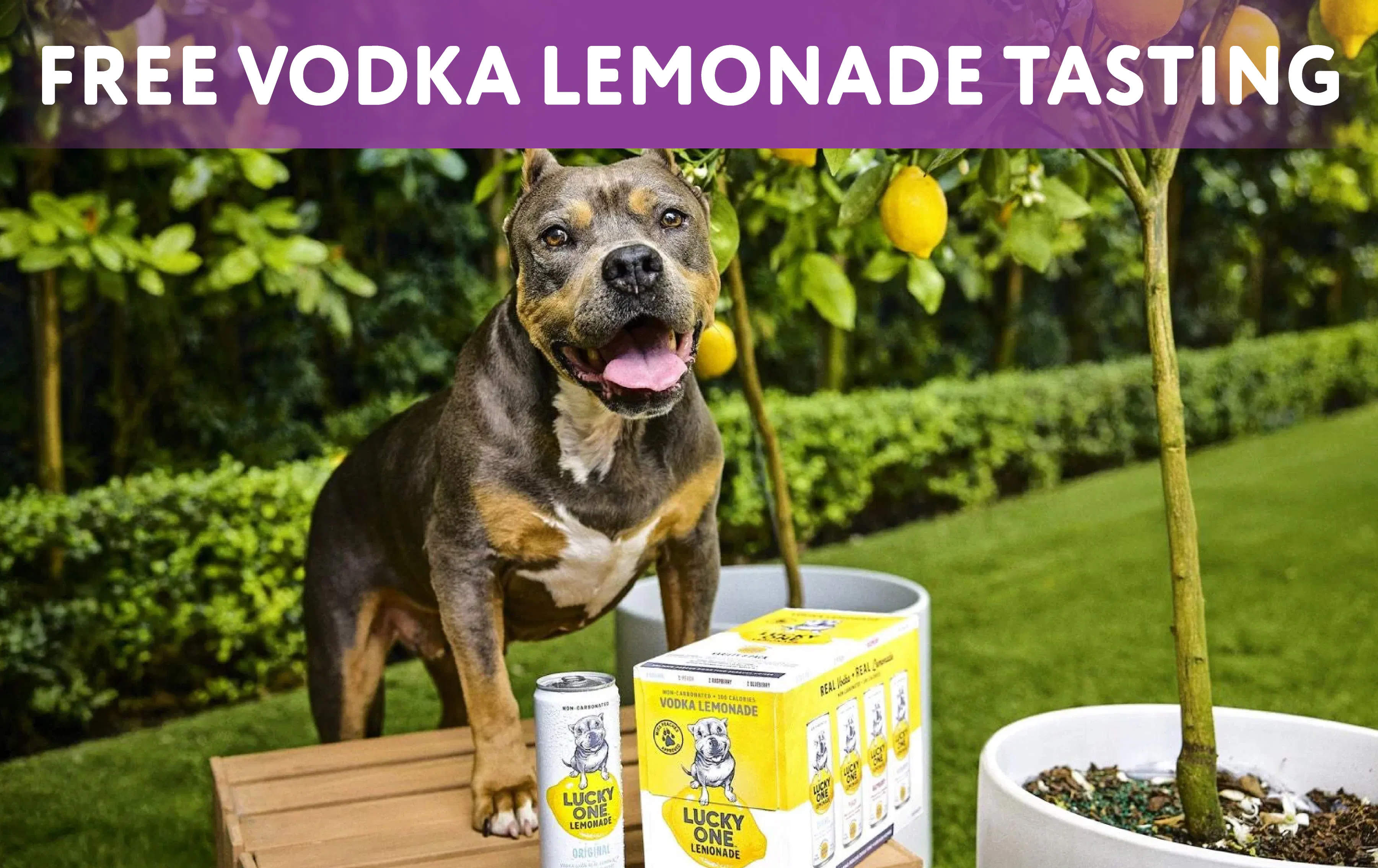 FREE Lucky One Lemonade Tasting & FREE Ice Cream truck