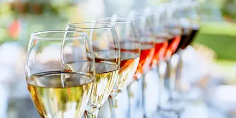 MS Walker Elevation Wines Tasting 
