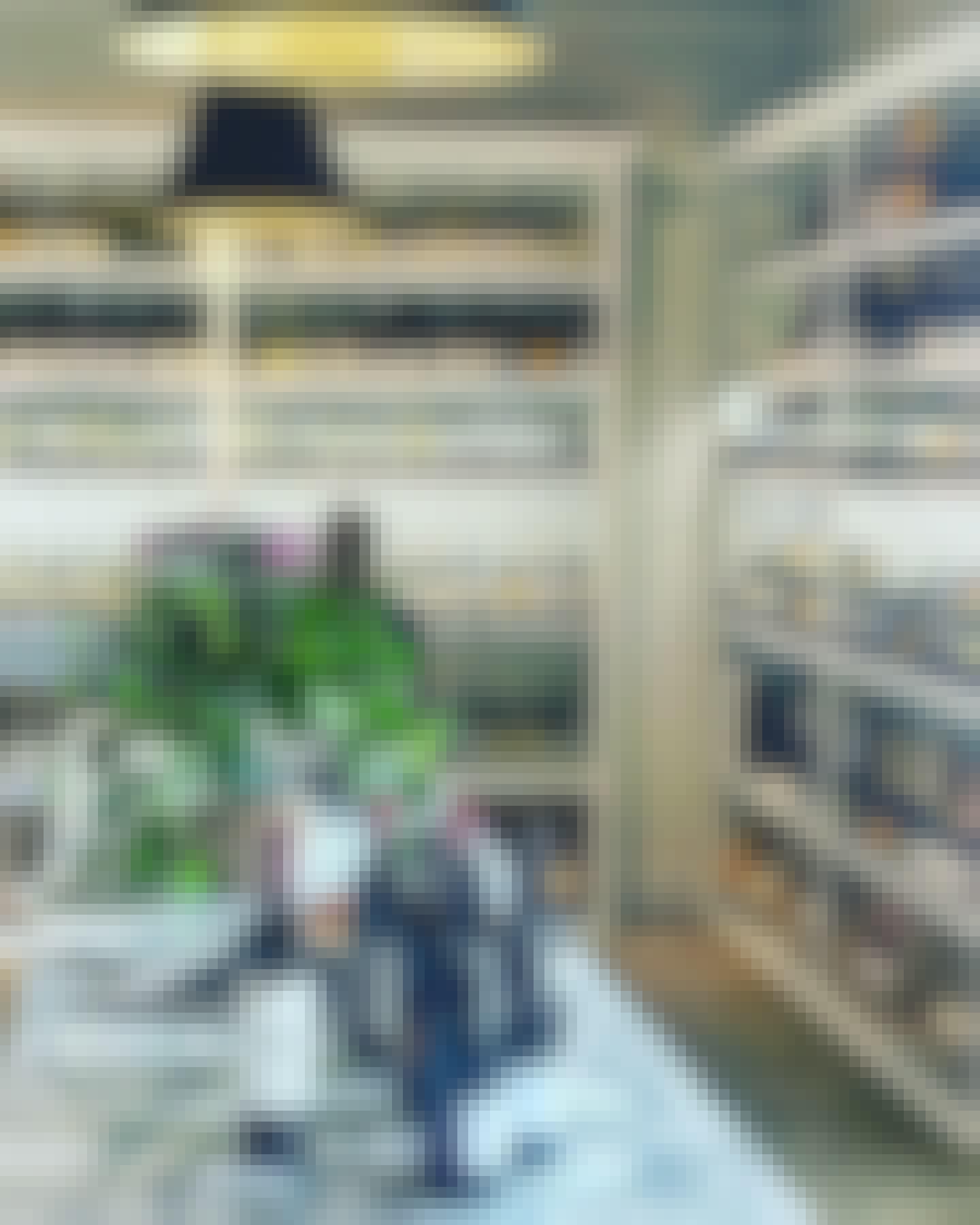 Find the perfect white wine 