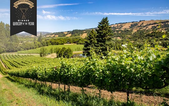 The Cult Napa Winery We Can’t Get Out of Our Head